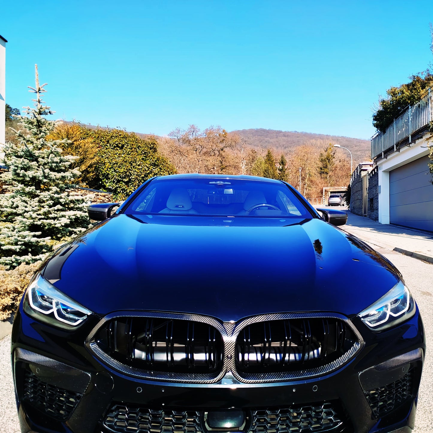 Dry Carbon Kühlergrill Nieren für BMW M8 (F91 F92 F93) Pre LCI