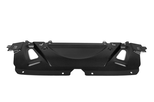 Dry Carbon Kühlverkleidungs-Slam-Panel Voll-Ersatz für BMW M5 G90 & M5 G99