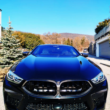 Dry Carbon Kühlergrill Nieren für BMW M8 (F91 F92 F93) Pre LCI