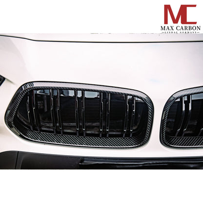 Dry Carbon Kühlergrill Nieren Gitter für BMW X2 F39
